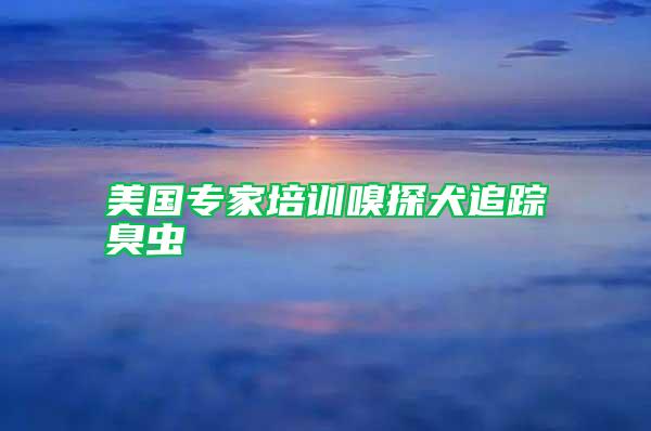 美國專家培訓嗅探犬追蹤臭蟲