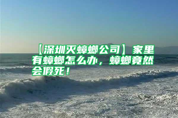 【深圳滅蟑螂公司】家里有蟑螂怎么辦,蟑螂竟然會(huì)假死!