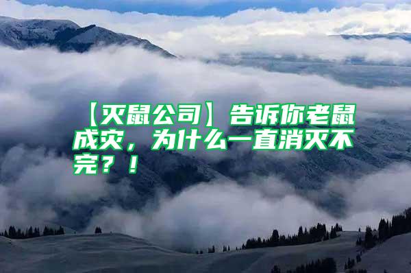 【滅鼠公司】告訴你老鼠成災，為什么一直消滅不完？！