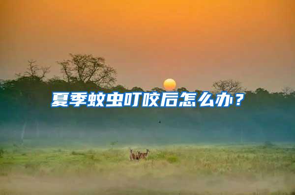 夏季蚊蟲叮咬后怎么辦？