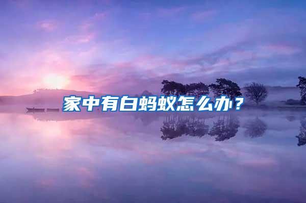 家中有白螞蟻怎么辦？
