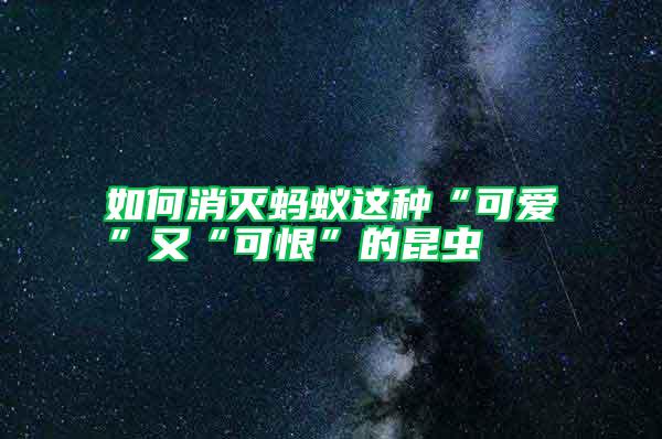 如何消滅螞蟻這種“可愛”又“可恨”的昆蟲