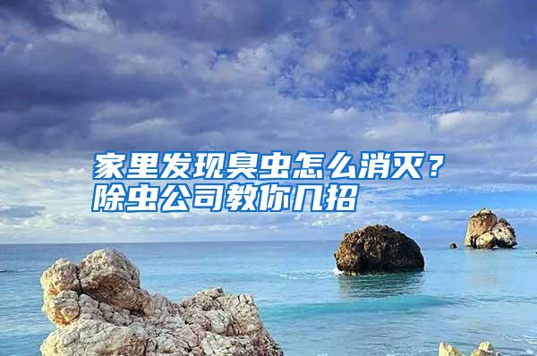 家里發(fā)現(xiàn)臭蟲怎么消滅？除蟲公司教你幾招