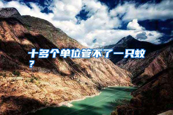 十多個單位管不了一只蚊？