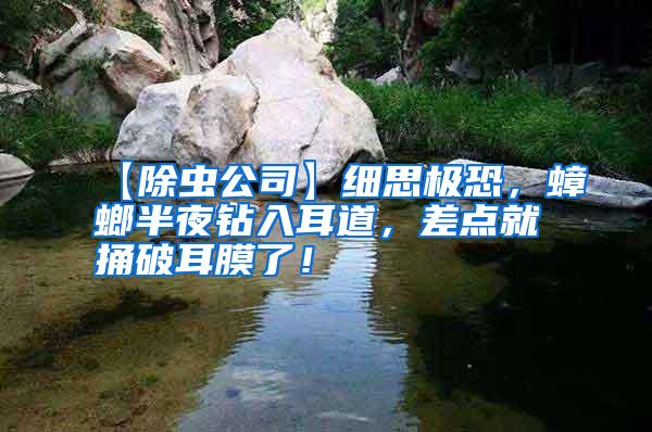【除蟲公司】細(xì)思極恐,蟑螂半夜鉆入耳道,差點(diǎn)就捅破耳膜了!