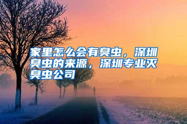 家里怎么會(huì)有臭蟲,深圳臭蟲的來(lái)源,深圳專業(yè)滅臭蟲公司