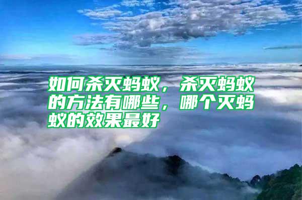 如何殺滅螞蟻,殺滅螞蟻的方法有哪些,哪個滅螞蟻的效果最好
