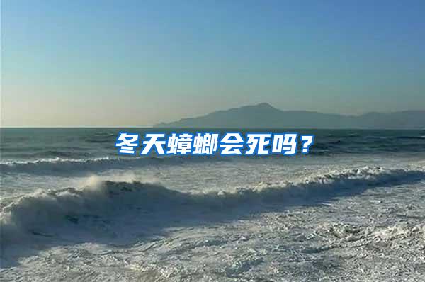 冬天蟑螂會死嗎?