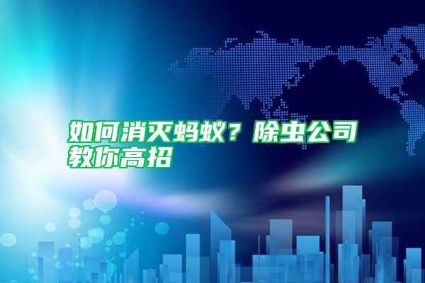 如何消滅螞蟻？除蟲公司教你高招