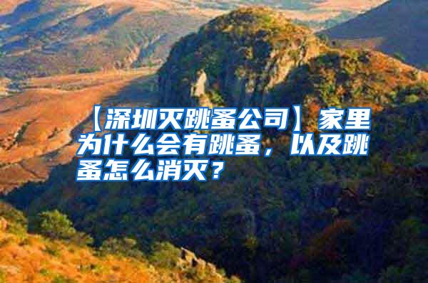 【深圳滅跳蚤公司】家里為什么會有跳蚤,以及跳蚤怎么消滅?