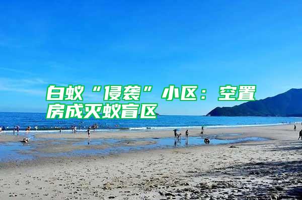 白蟻“侵襲”小區:空置房成滅蟻盲區