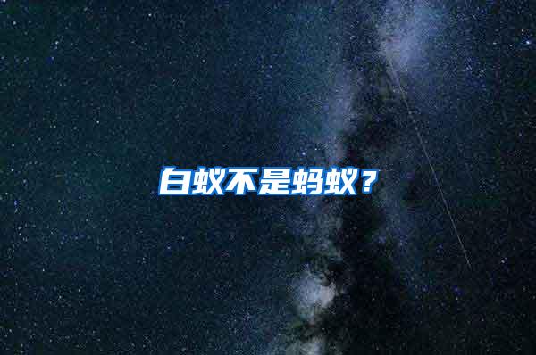 白蟻不是螞蟻？