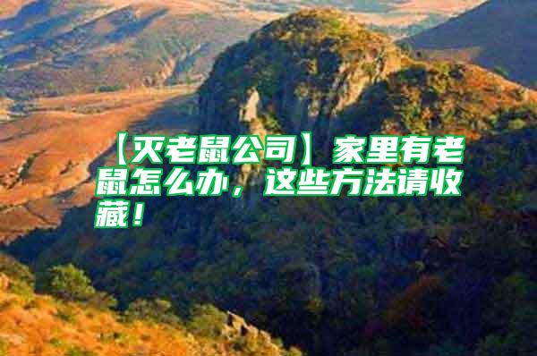 【滅老鼠公司】家里有老鼠怎么辦,這些方法請(qǐng)收藏!