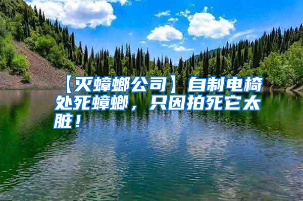 【滅蟑螂公司】自制電椅處死蟑螂,只因拍死它太臟!