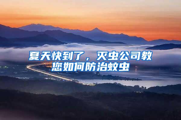 夏天快到了，滅蟲公司教您如何防治蚊蟲