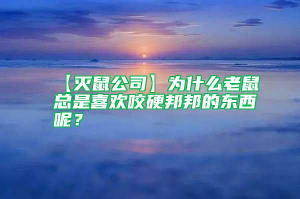 【滅鼠公司】為什么老鼠總是喜歡咬硬邦邦的東西呢？