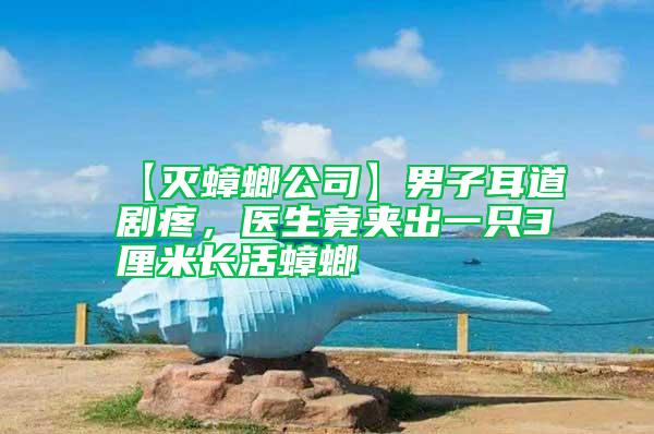 【滅蟑螂公司】男子耳道劇疼,醫(yī)生竟夾出一只3厘米長活蟑螂