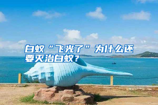 白蟻“飛光了”為什么還要滅治白蟻？