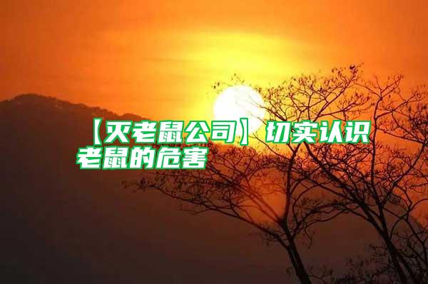 【滅老鼠公司】切實(shí)認(rèn)識(shí)老鼠的危害