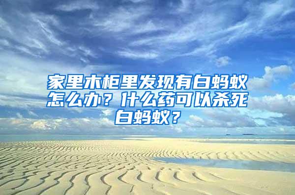 家里木柜里發現有白螞蟻怎么辦？什么藥可以殺死白螞蟻？