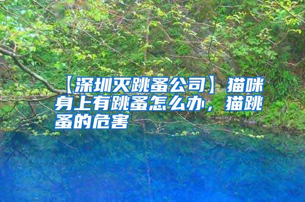 【深圳滅跳蚤公司】貓咪身上有跳蚤怎么辦，貓?zhí)榈奈：?/></p>
             <p style=