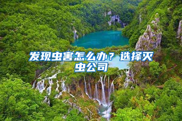 發現蟲害怎么辦?選擇滅蟲公司