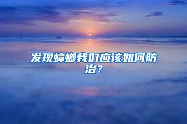 發現蟑螂我們應該如何防治？