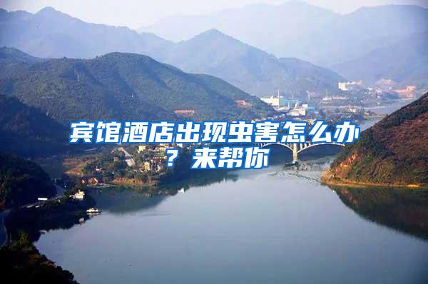 賓館酒店出現(xiàn)蟲害怎么辦？來(lái)幫你