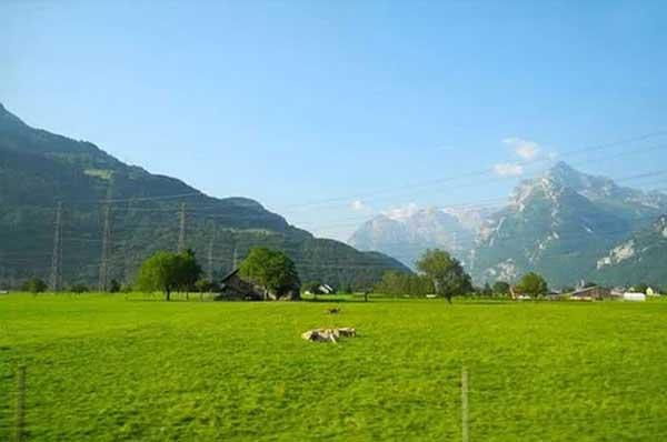 家里有蚊子怎么辦，提醒您防蚊切勿整夜熏蚊香