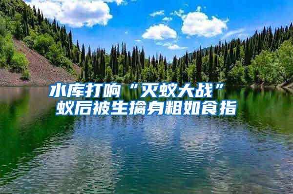 水庫(kù)打響“滅蟻大戰(zhàn)” 蟻后被生擒身粗如食指