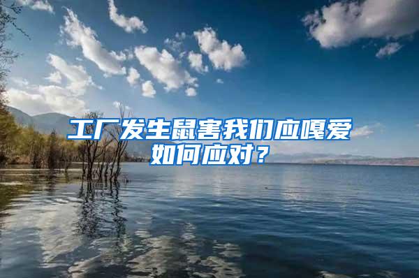 工廠發生鼠害我們應嘎愛如何應對？