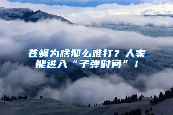 蒼蠅為啥那么難打？人家能進入“子彈時間”！