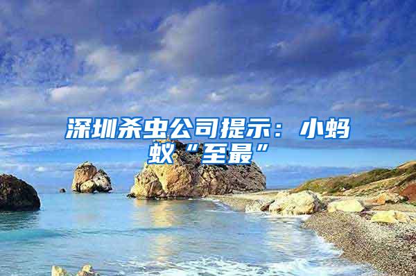深圳殺蟲公司提示：小螞蟻“至最”