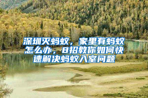 深圳滅螞蟻，家里有螞蟻怎么辦，8招教你如何快速解決螞蟻入室問題