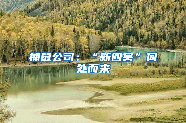 捕鼠公司:“新四害”何處而來
