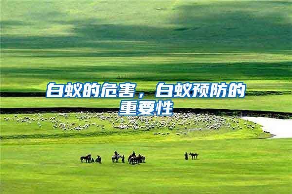 白蟻的危害，白蟻預防的重要性