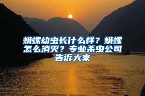 蛾蠓幼蟲長什么樣？蛾蠓怎么消滅？專業(yè)殺蟲公司告訴大家