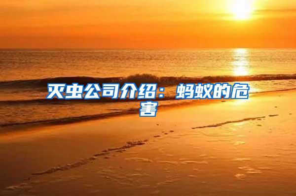 滅蟲公司介紹：螞蟻的危害
